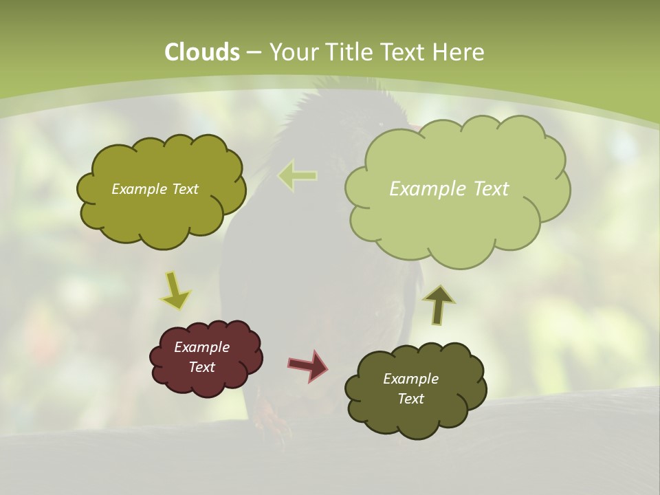 Seychelles Bul Bul PowerPoint Template