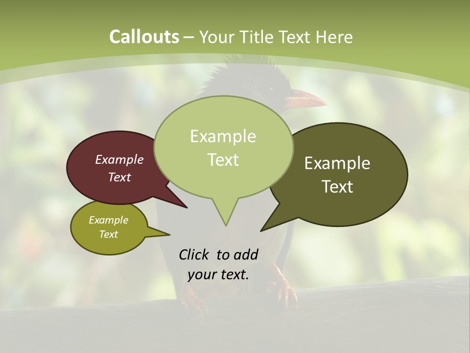 Seychelles Bul Bul PowerPoint Template