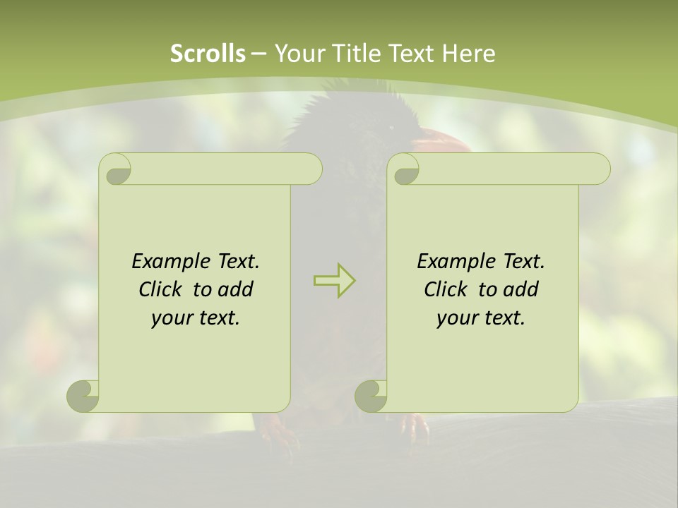 Seychelles Bul Bul PowerPoint Template