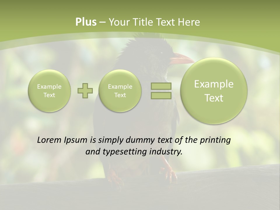 Seychelles Bul Bul PowerPoint Template