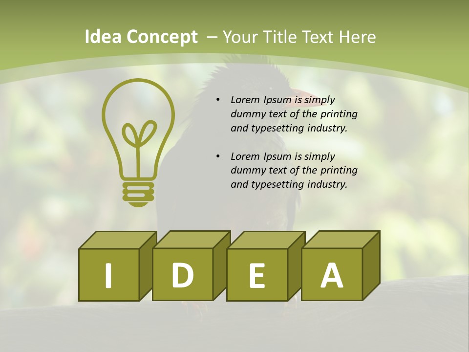 Seychelles Bul Bul PowerPoint Template