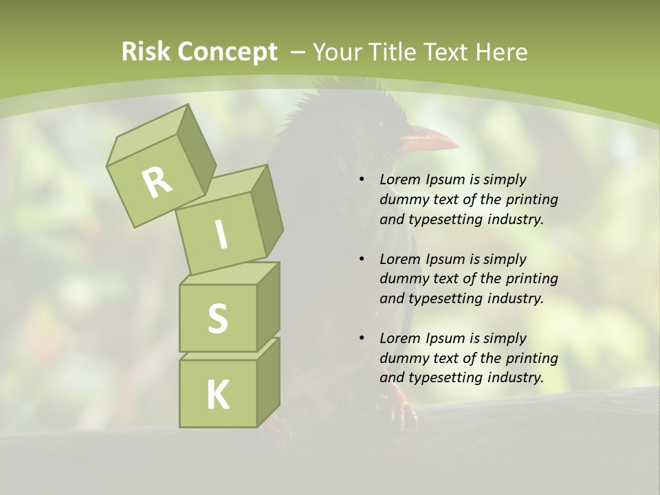 Seychelles Bul Bul PowerPoint Template