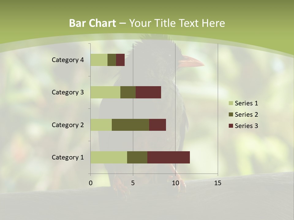 Seychelles Bul Bul PowerPoint Template