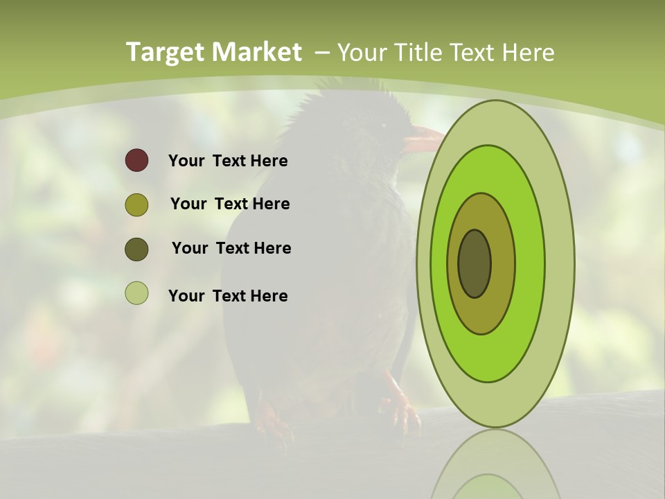 Seychelles Bul Bul PowerPoint Template