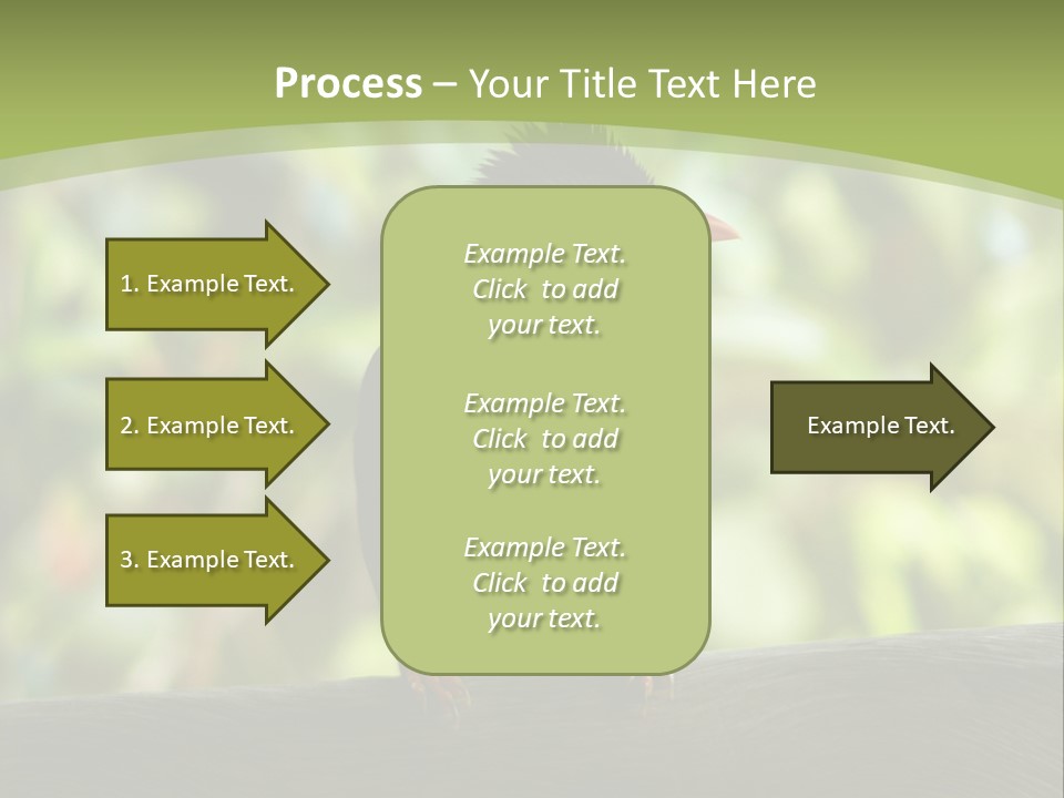 Seychelles Bul Bul PowerPoint Template