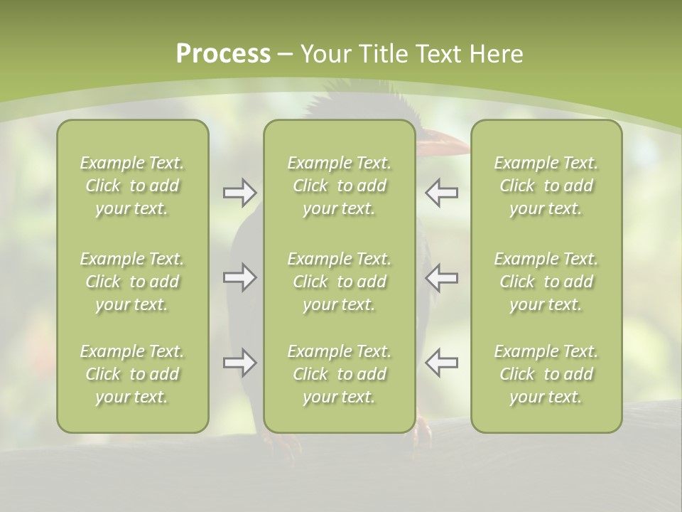 Seychelles Bul Bul PowerPoint Template