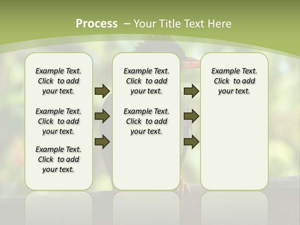 Seychelles Bul Bul PowerPoint Template