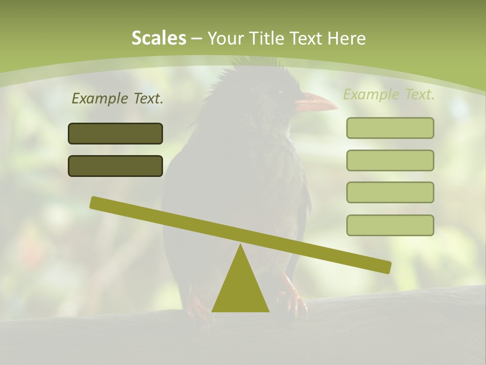 Seychelles Bul Bul PowerPoint Template