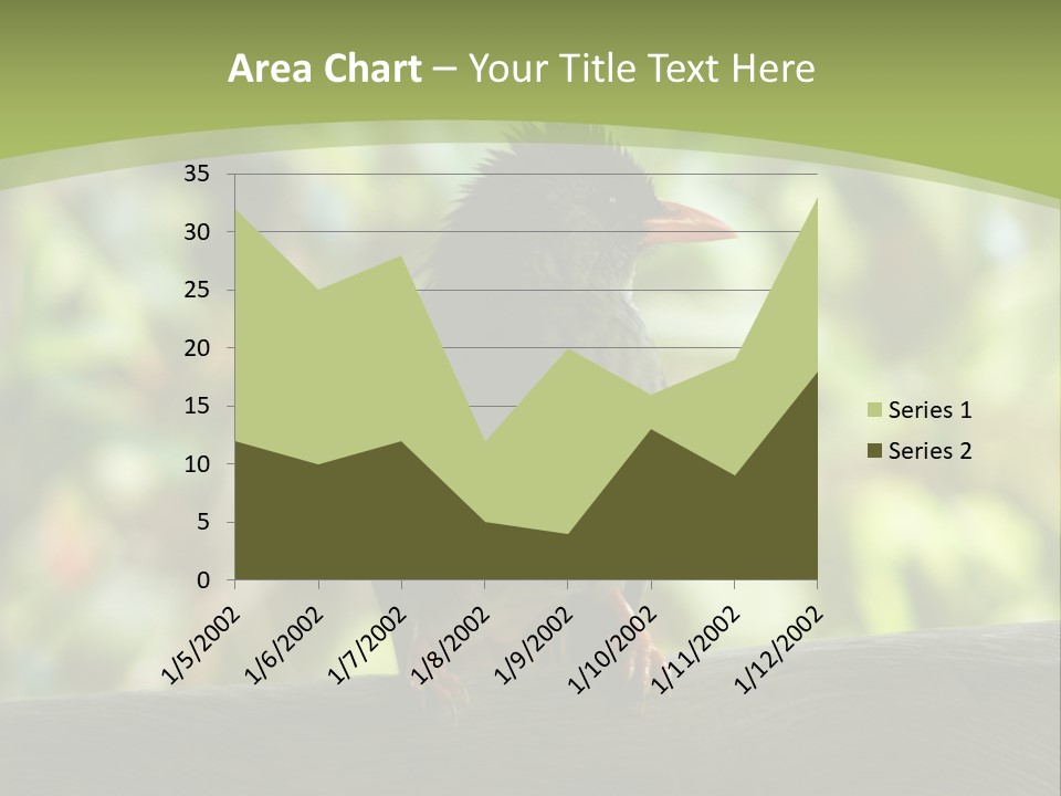 Seychelles Bul Bul PowerPoint Template