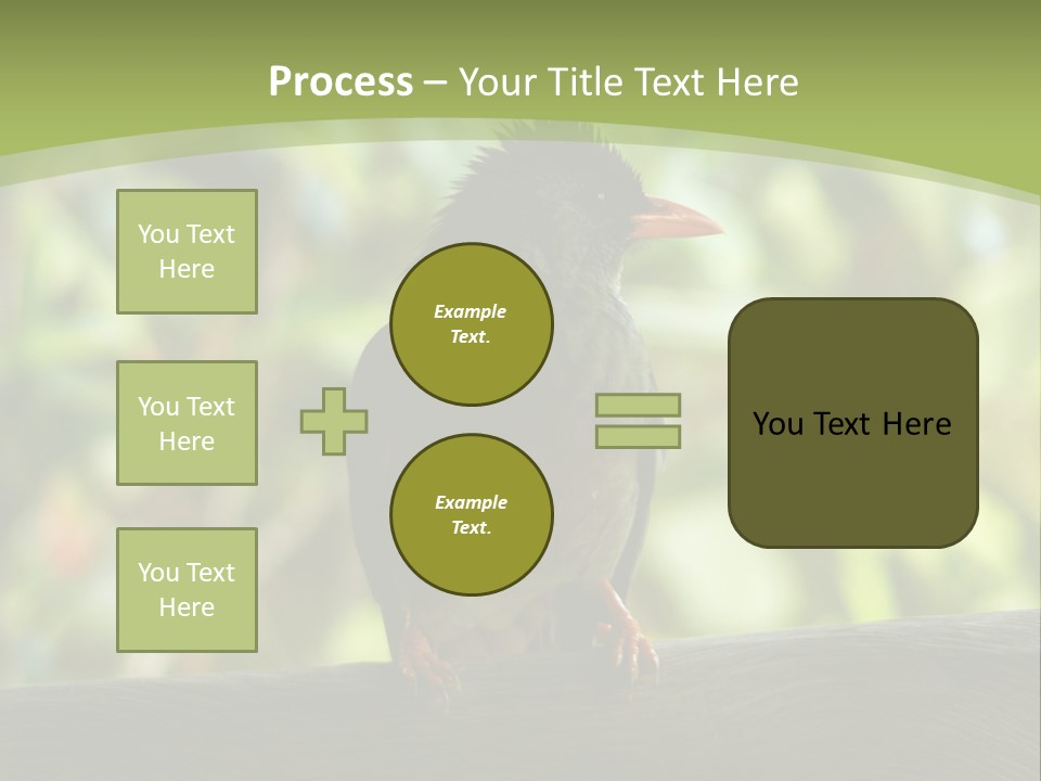 Seychelles Bul Bul PowerPoint Template