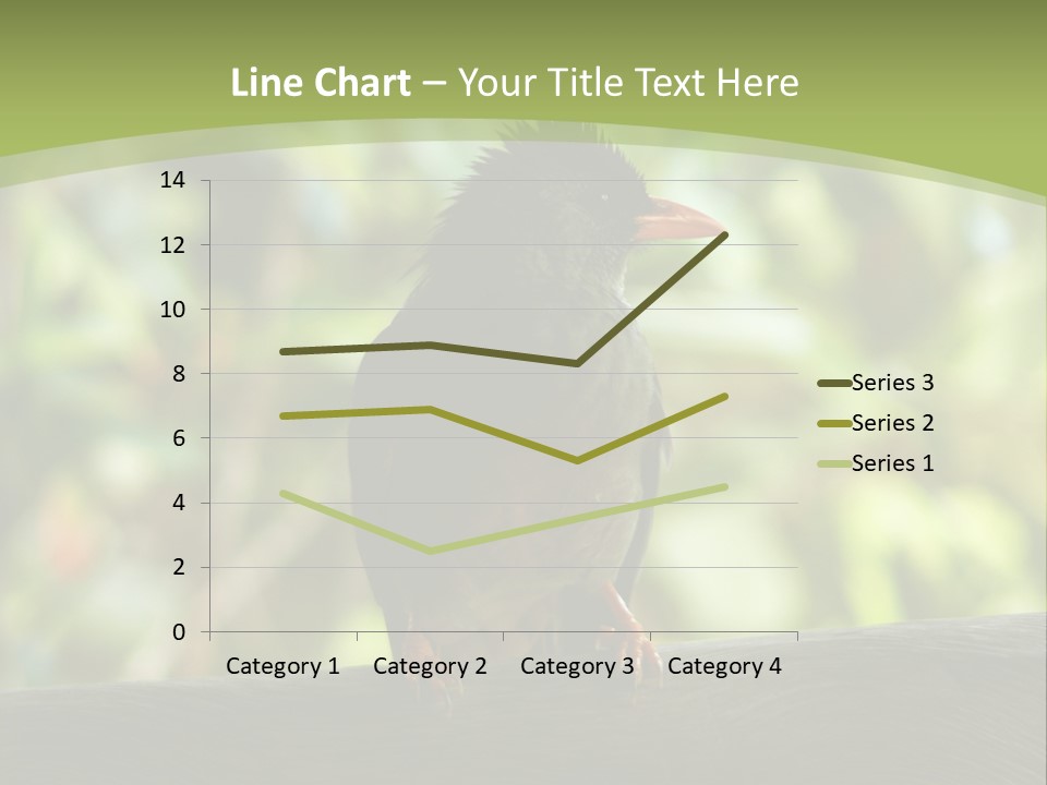 Seychelles Bul Bul PowerPoint Template