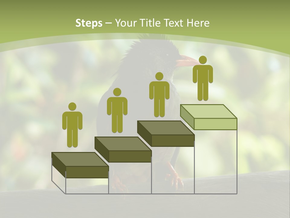 Seychelles Bul Bul PowerPoint Template