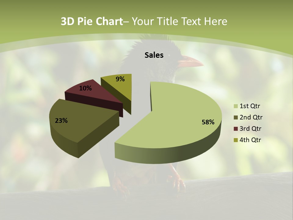 Seychelles Bul Bul PowerPoint Template