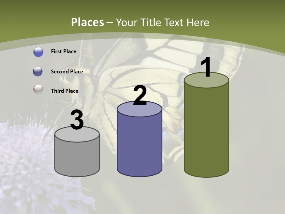 Papilio Machaon, Swallowtail, Papilionidae, PowerPoint Template