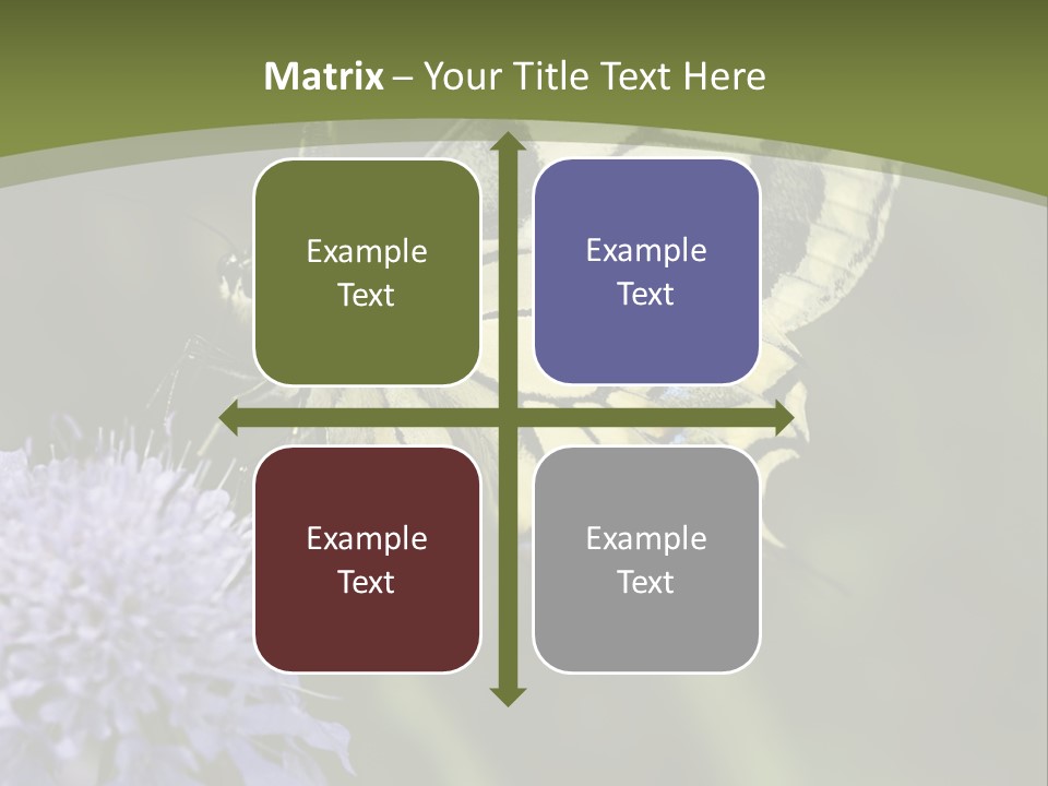 Papilio Machaon, Swallowtail, Papilionidae, PowerPoint Template