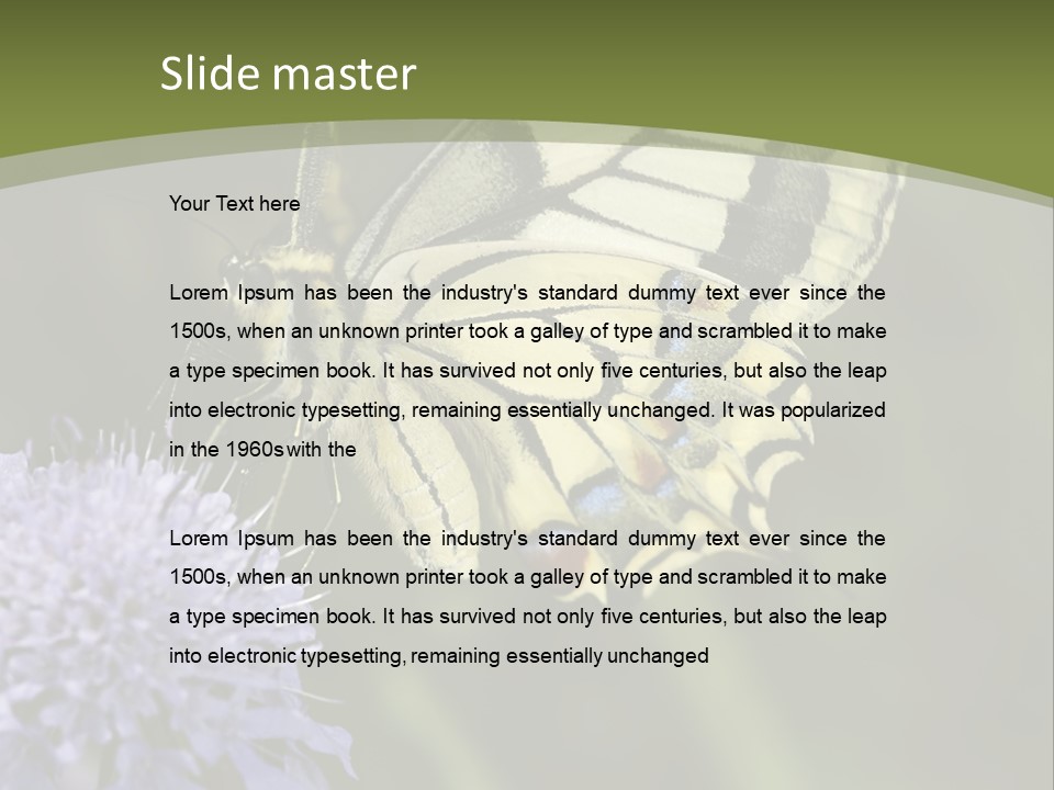 Papilio Machaon, Swallowtail, Papilionidae, PowerPoint Template