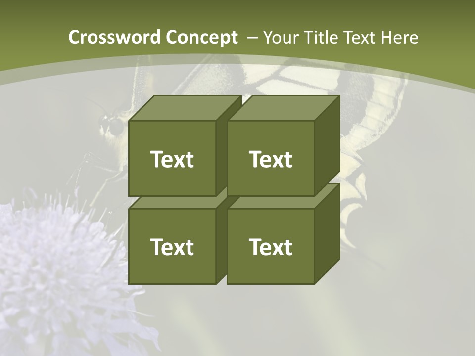 Papilio Machaon, Swallowtail, Papilionidae, PowerPoint Template