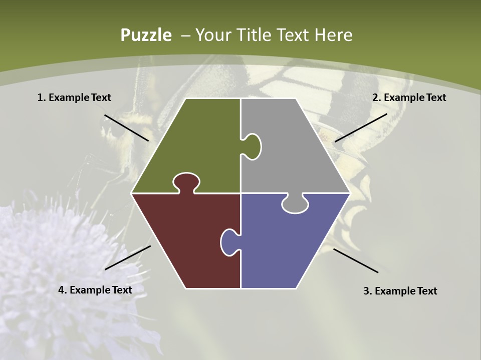 Papilio Machaon, Swallowtail, Papilionidae, PowerPoint Template