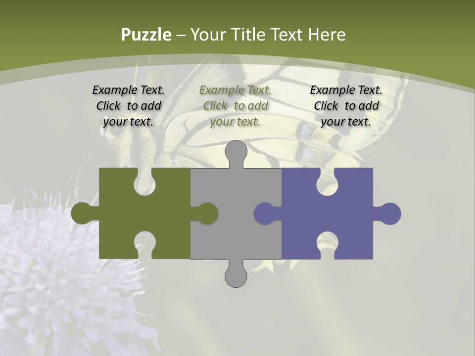 Papilio Machaon, Swallowtail, Papilionidae, PowerPoint Template