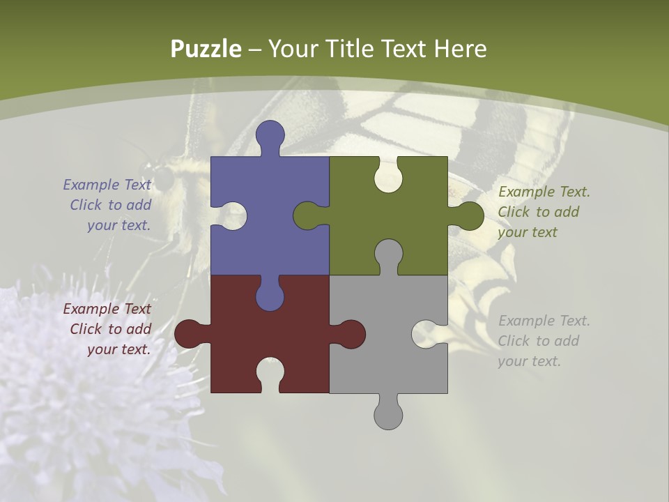 Papilio Machaon, Swallowtail, Papilionidae, PowerPoint Template