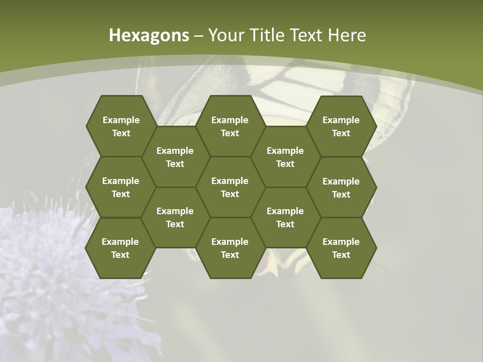 Papilio Machaon, Swallowtail, Papilionidae, PowerPoint Template