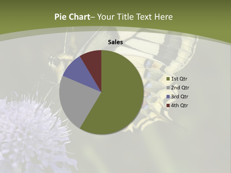 Papilio Machaon, Swallowtail, Papilionidae, PowerPoint Template