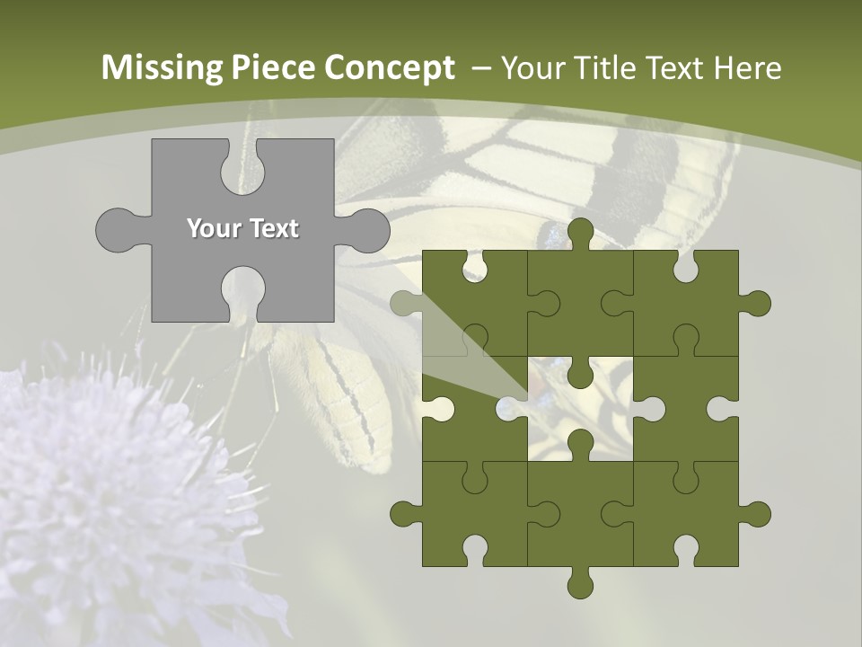 Papilio Machaon, Swallowtail, Papilionidae, PowerPoint Template