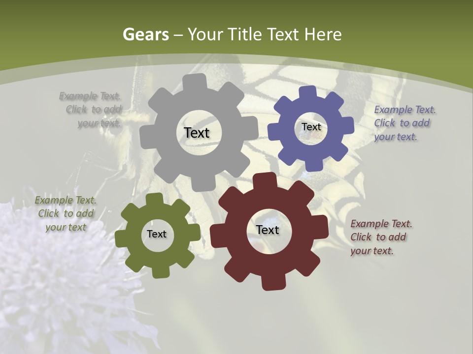 Papilio Machaon, Swallowtail, Papilionidae, PowerPoint Template