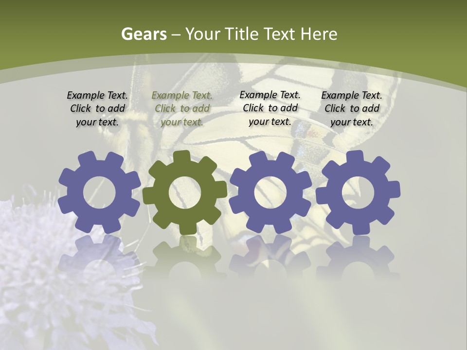 Papilio Machaon, Swallowtail, Papilionidae, PowerPoint Template