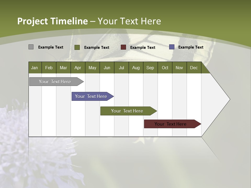 Papilio Machaon, Swallowtail, Papilionidae, PowerPoint Template