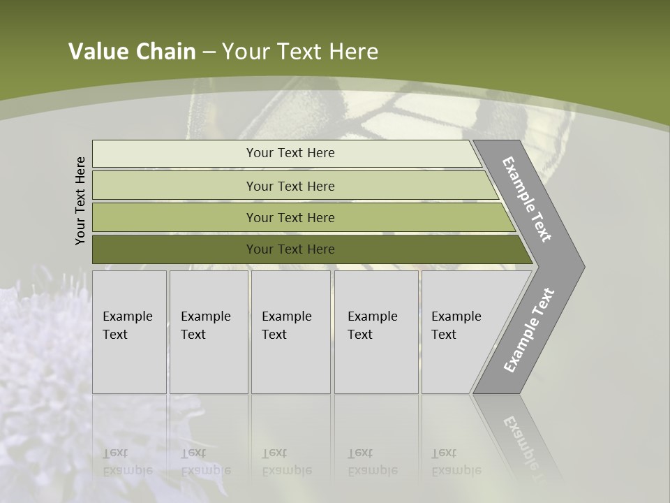 Papilio Machaon, Swallowtail, Papilionidae, PowerPoint Template