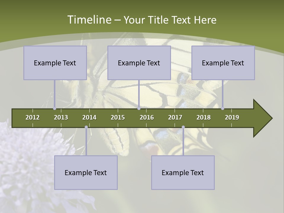 Papilio Machaon, Swallowtail, Papilionidae, PowerPoint Template