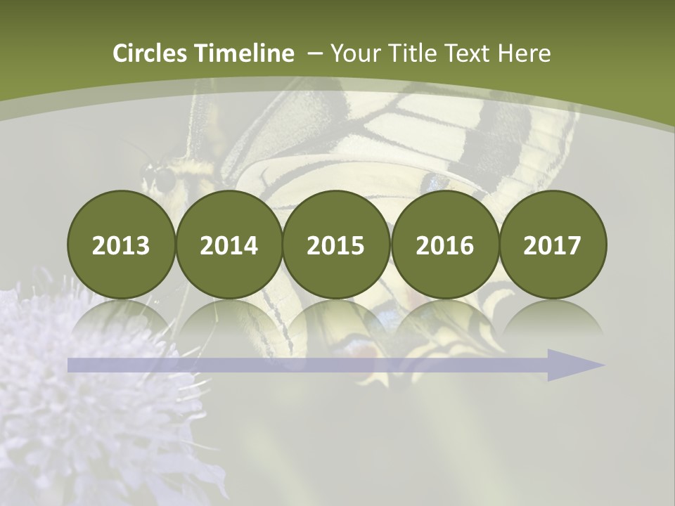 Papilio Machaon, Swallowtail, Papilionidae, PowerPoint Template