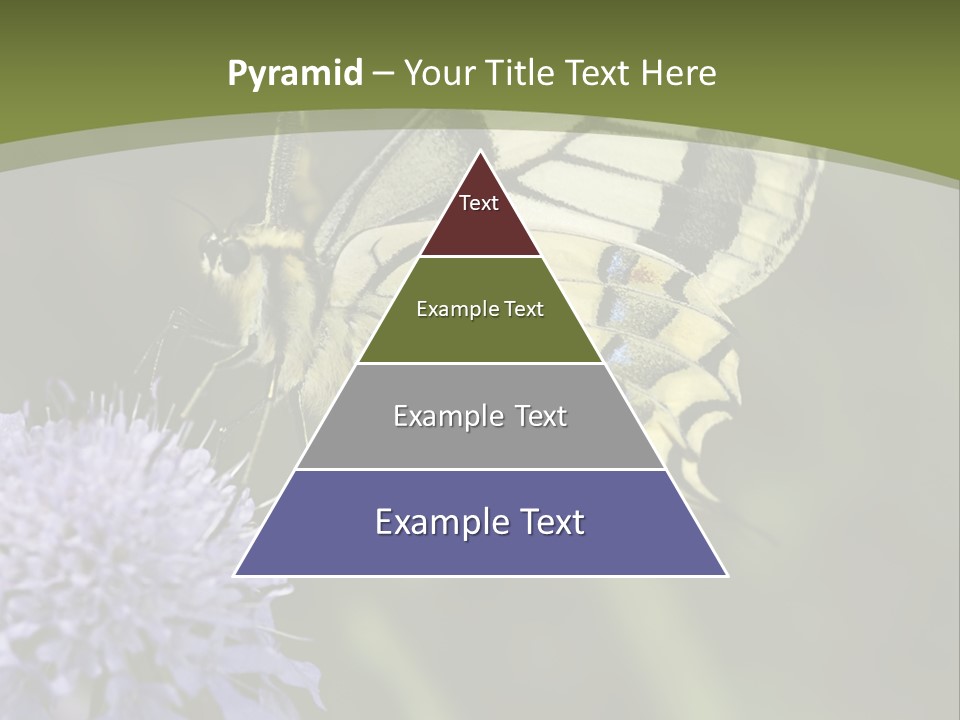 Papilio Machaon, Swallowtail, Papilionidae, PowerPoint Template