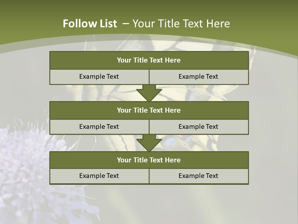 Papilio Machaon, Swallowtail, Papilionidae, PowerPoint Template