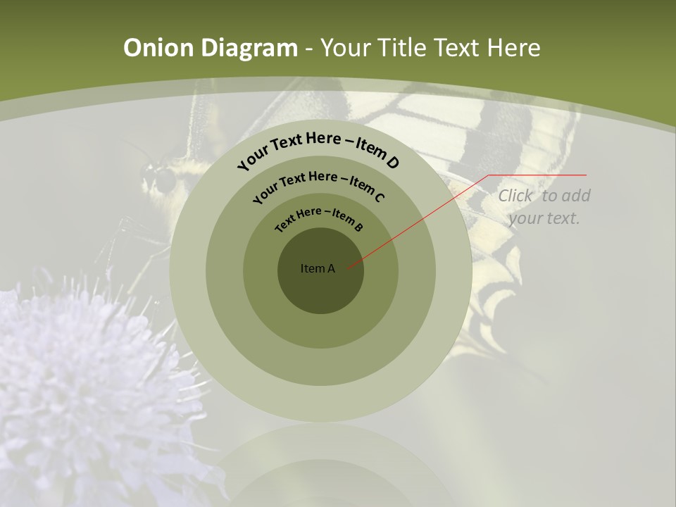 Papilio Machaon, Swallowtail, Papilionidae, PowerPoint Template