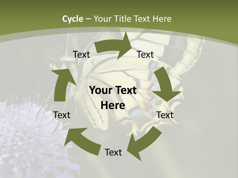 Papilio Machaon, Swallowtail, Papilionidae, PowerPoint Template