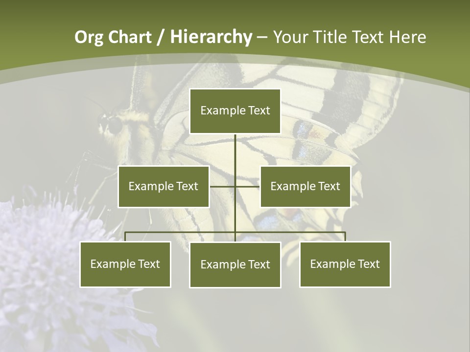 Papilio Machaon, Swallowtail, Papilionidae, PowerPoint Template
