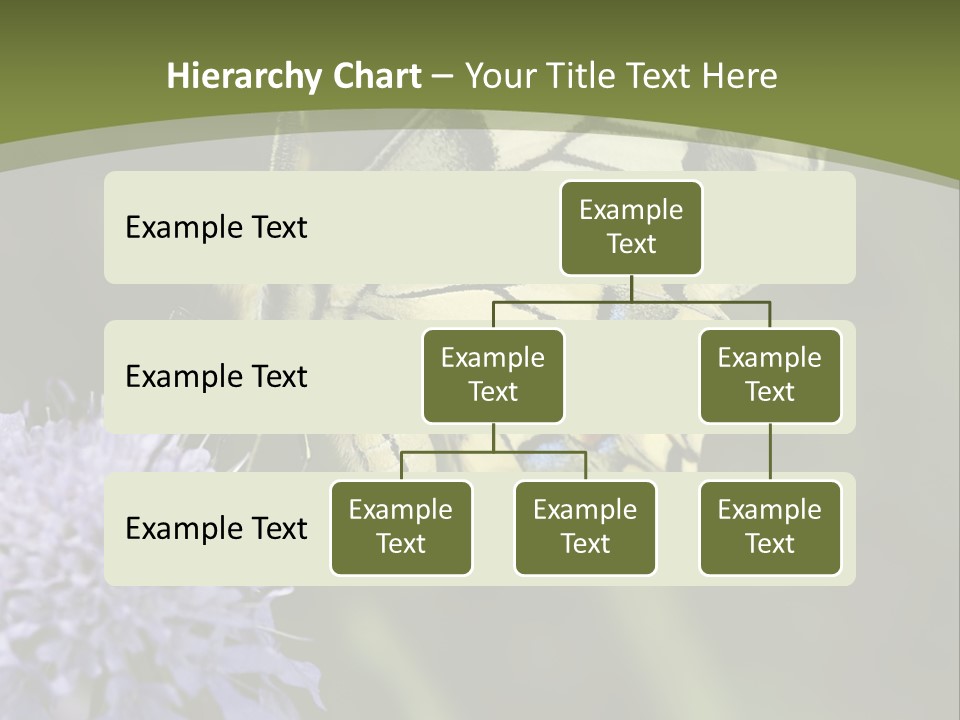 Papilio Machaon, Swallowtail, Papilionidae, PowerPoint Template