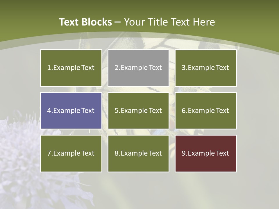 Papilio Machaon, Swallowtail, Papilionidae, PowerPoint Template