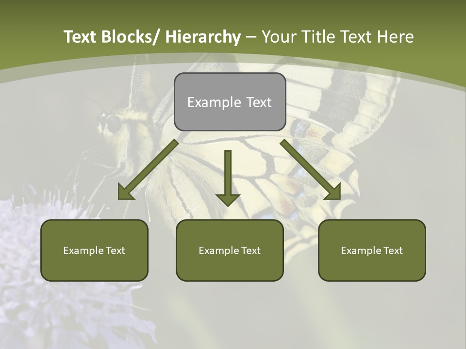Papilio Machaon, Swallowtail, Papilionidae, PowerPoint Template