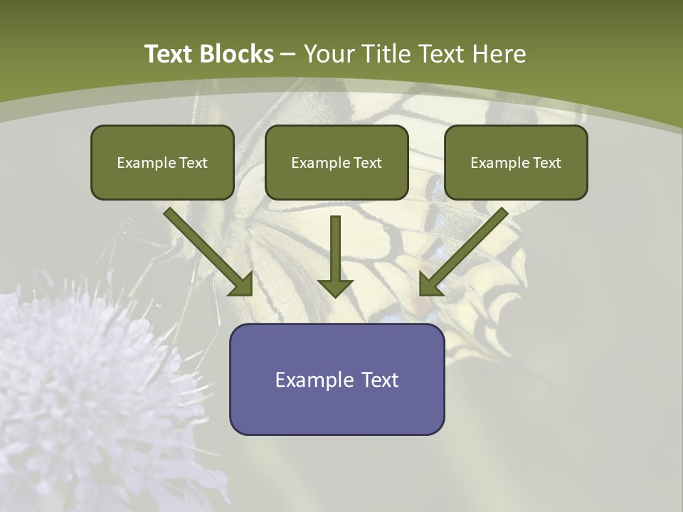 Papilio Machaon, Swallowtail, Papilionidae, PowerPoint Template