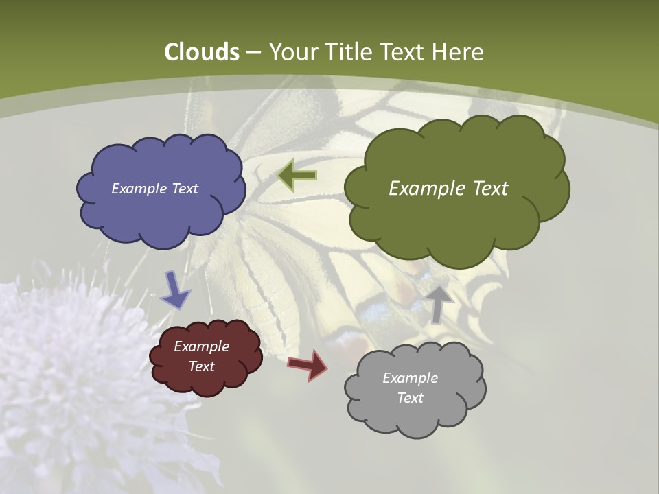 Papilio Machaon, Swallowtail, Papilionidae, PowerPoint Template