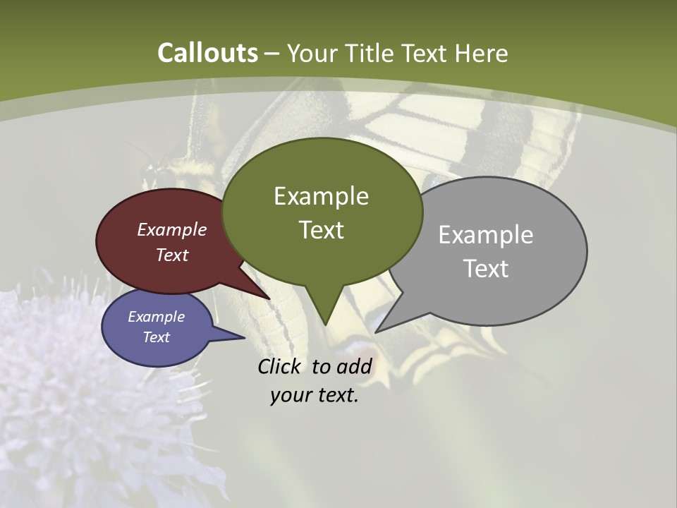 Papilio Machaon, Swallowtail, Papilionidae, PowerPoint Template