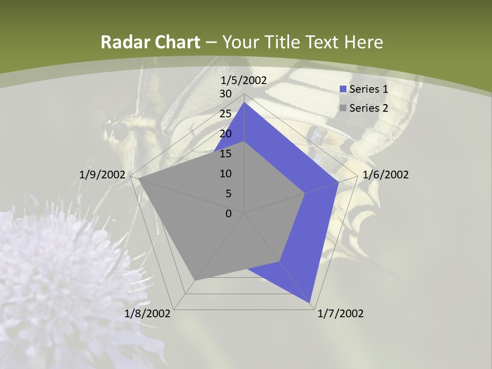 Papilio Machaon, Swallowtail, Papilionidae, PowerPoint Template