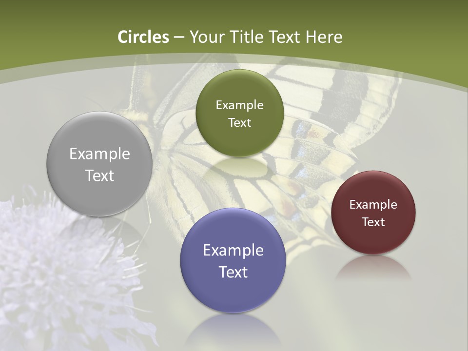 Papilio Machaon, Swallowtail, Papilionidae, PowerPoint Template