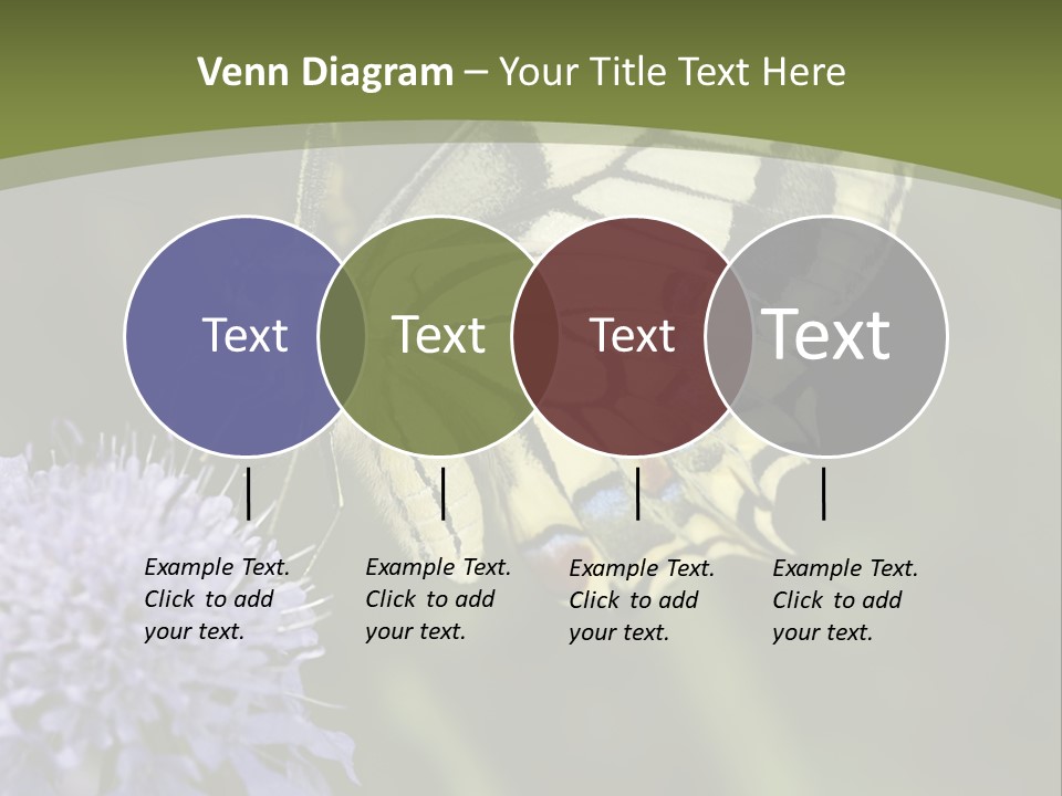 Papilio Machaon, Swallowtail, Papilionidae, PowerPoint Template