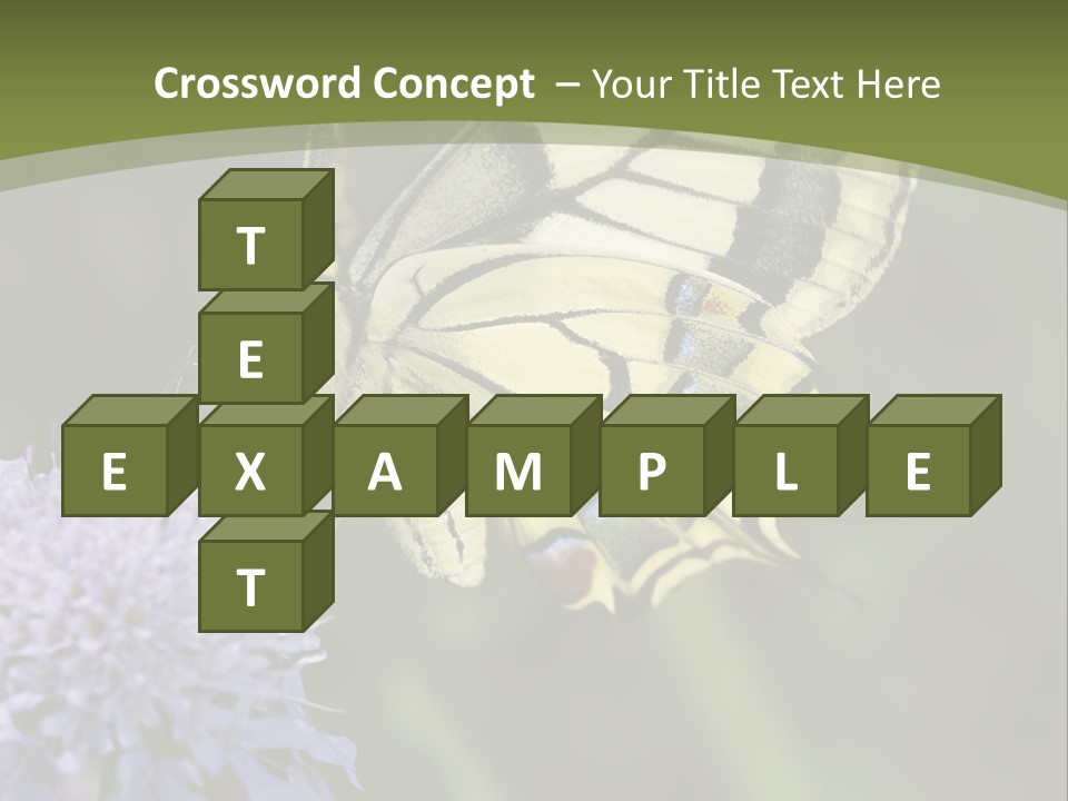 Papilio Machaon, Swallowtail, Papilionidae, PowerPoint Template