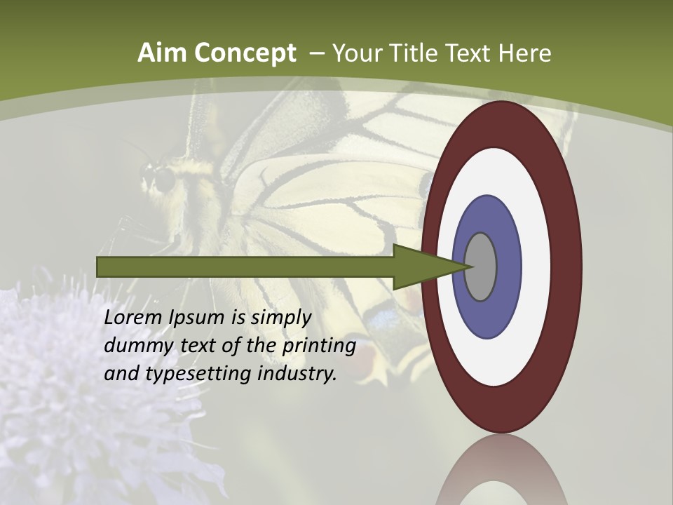 Papilio Machaon, Swallowtail, Papilionidae, PowerPoint Template