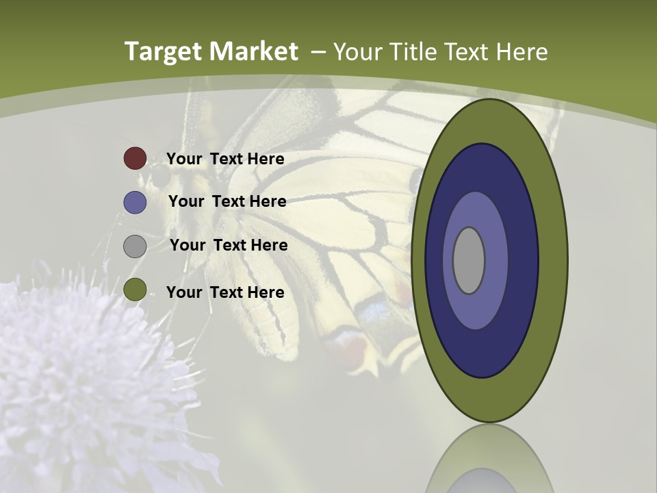 Papilio Machaon, Swallowtail, Papilionidae, PowerPoint Template